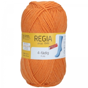 Regia 4-fadig 100g 01054 Тыква