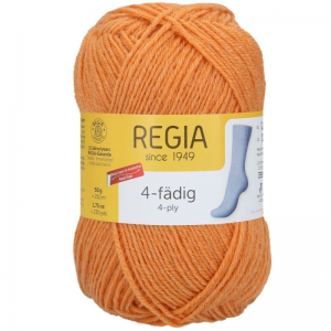 Regia Knit with Colours 01054