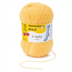 Regia Knit with Colours 02041